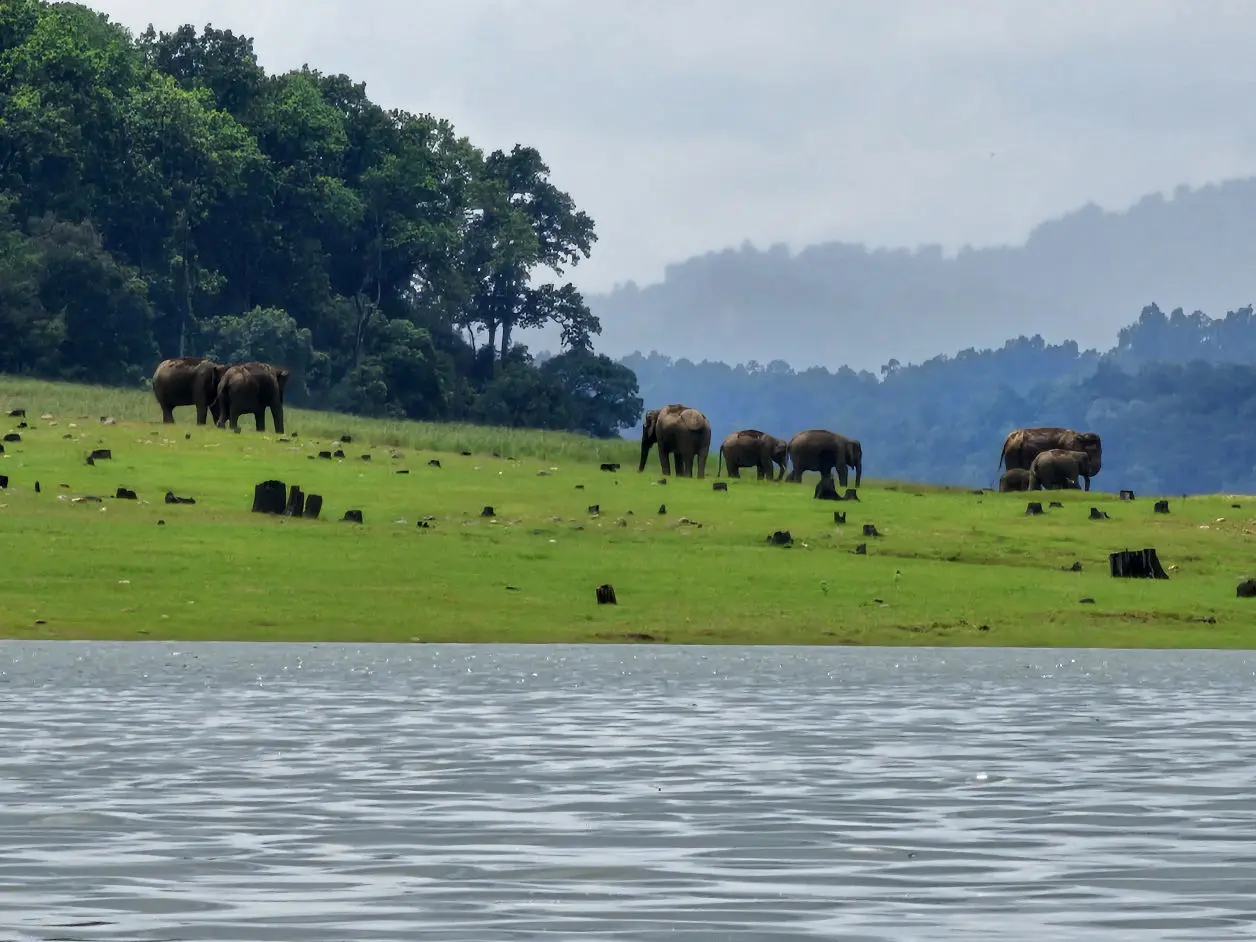 Jim Corbett