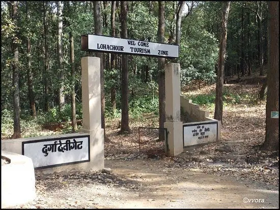 Durgadevi