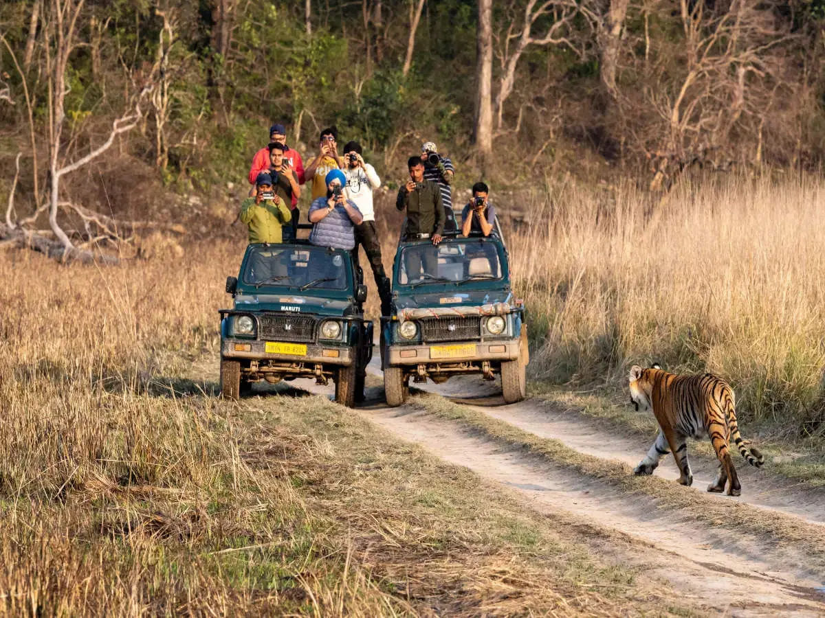 jeep safari
