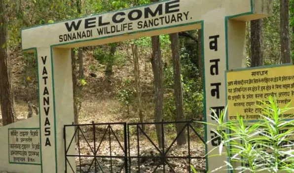 sonanadi